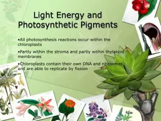 Light Energy and Photosynthetic Pigments