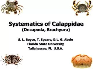 Systematics of Calappidae (Decapoda, Brachyura)