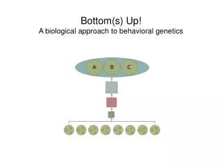 Bottom(s) Up! A biological approach to behavioral genetics