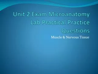Unit 2 Exam Microanatomy Lab Practical Practice Questions