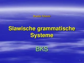Branko To šović Slawische grammatische Systeme BKS