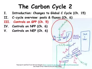 The Carbon Cycle 2