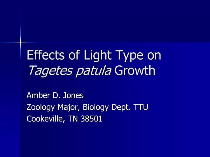 effects of light type on tagetes patula growth