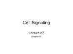 Cell Signaling - slide 1