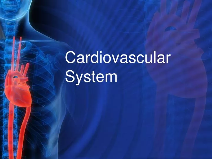 cardiovascular system