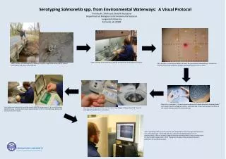 Serotyping Salmonella spp. from Environmental Waterways: A Visual Protocol
