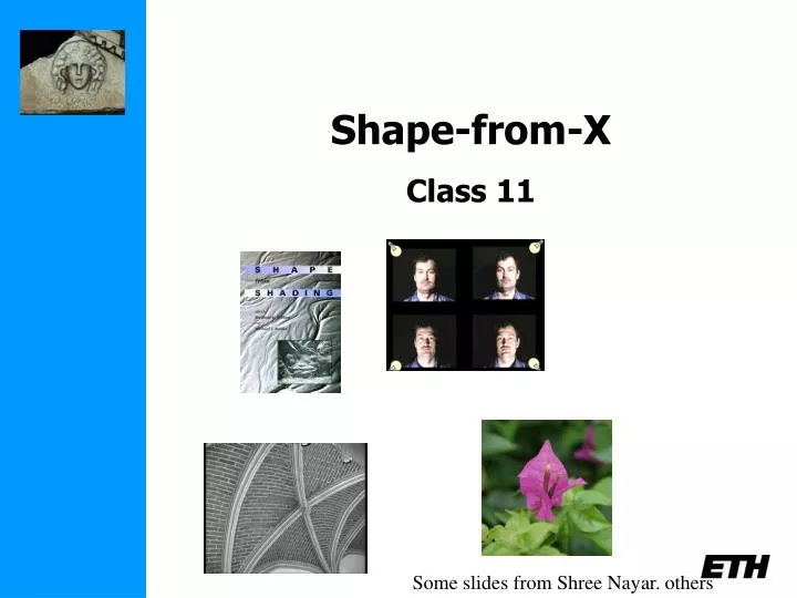 shape from x class 11
