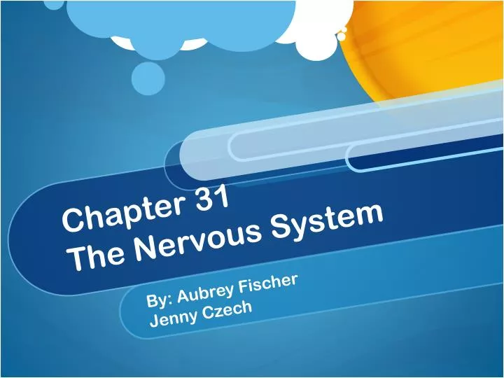 chapter 31 the nervous system