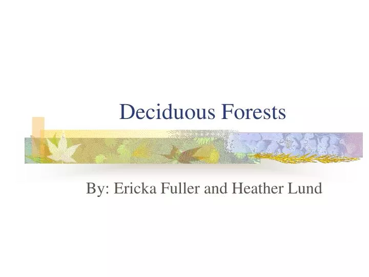 deciduous forests