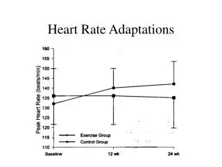 Heart Rate Adaptations