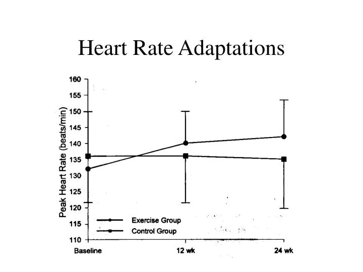 heart rate adaptations