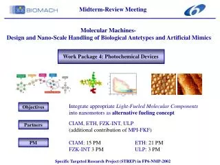 Work Package 4: Photochemical Devices