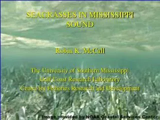 SEAGRASSES IN MISSISSIPPI SOUND