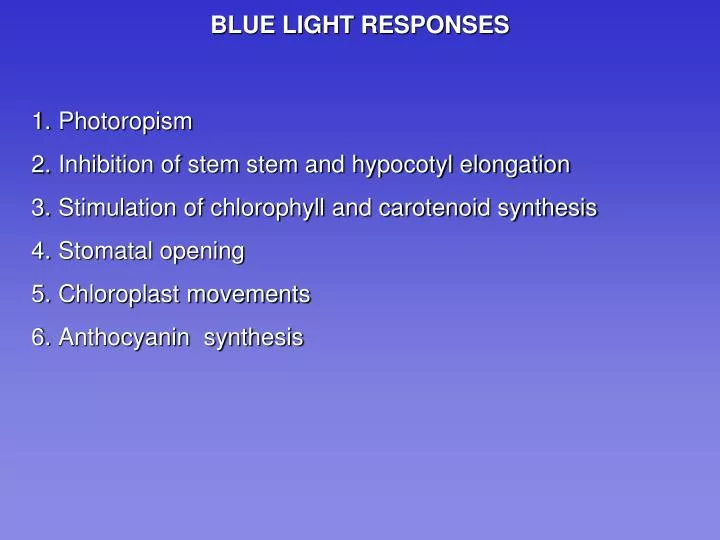 blue light responses