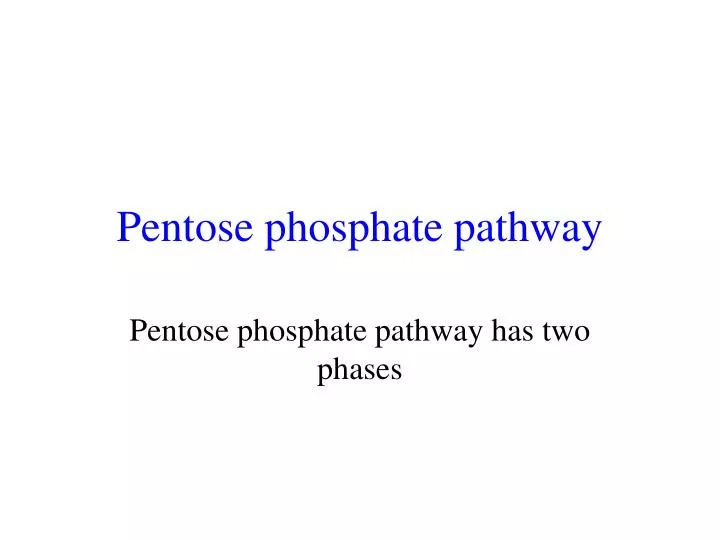 pentose phosphate pathway