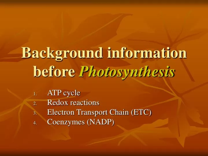 background information before photosynthesis