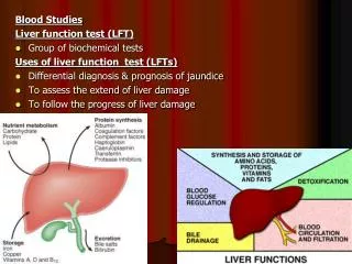 Blood Studies Liver function test (LFT) Group of biochemical tests