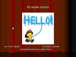 pe aripile muzicii