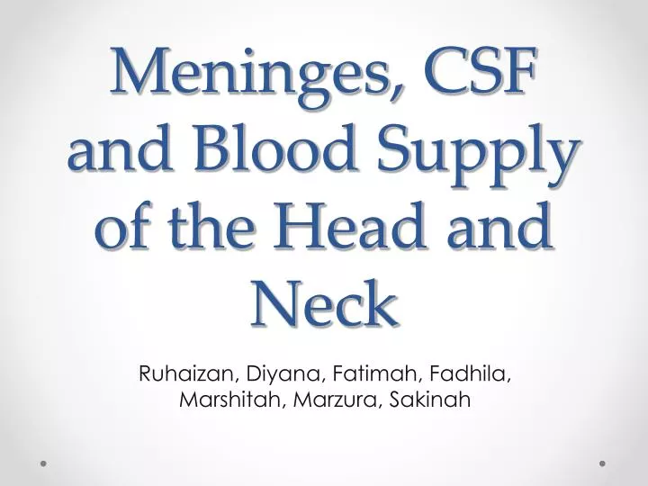 meninges csf and blood supply of the head and neck