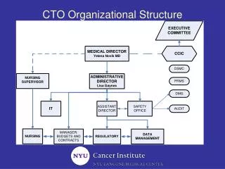 CTO Organizational Structure