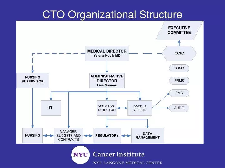 cto organizational structure