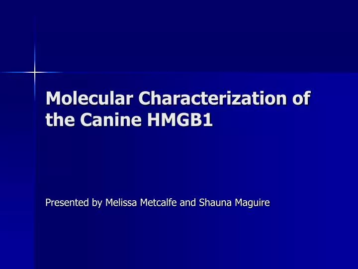molecular characterization of the canine hmgb1