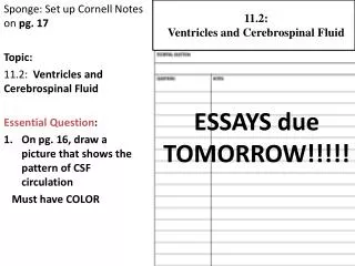 Sponge: Set up Cornell Notes on pg. 17 Topic: 11.2: Ventricles and Cerebrospinal Fluid