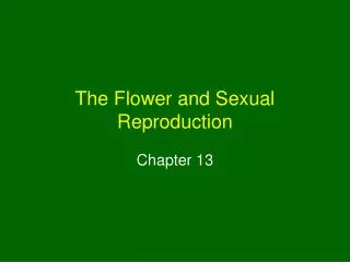 The Flower and Sexual Reproduction