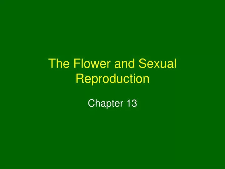 the flower and sexual reproduction