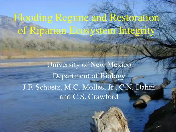 flooding regime and restoration of riparian ecosystem integrity