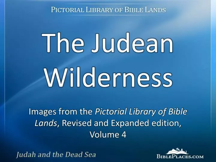 the judean wilderness