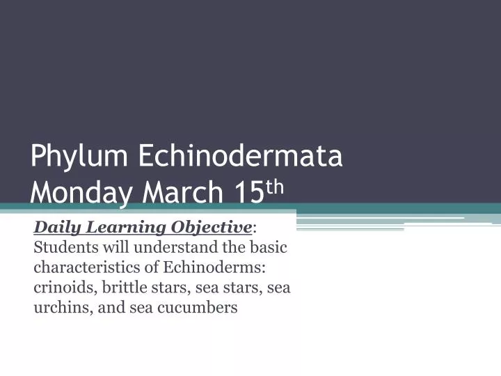 phylum echinodermata monday march 15 th