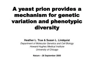A yeast prion provides a mechanism for genetic variation and phenotypic diversity