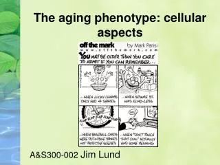 The aging phenotype: cellular aspects