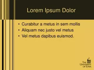 lorem ipsum dolor