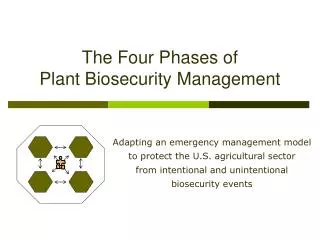 The Four Phases of Plant Biosecurity Management
