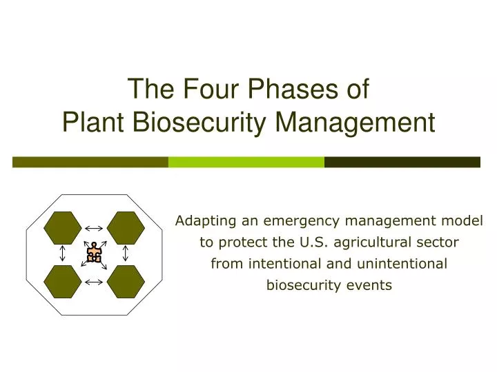 the four phases of plant biosecurity management