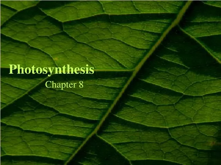 photosynthesis