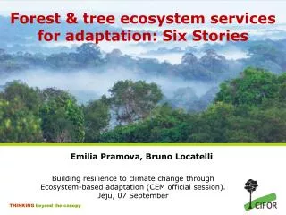 Forest &amp; tree ecosystem services for adaptation: Six Stories