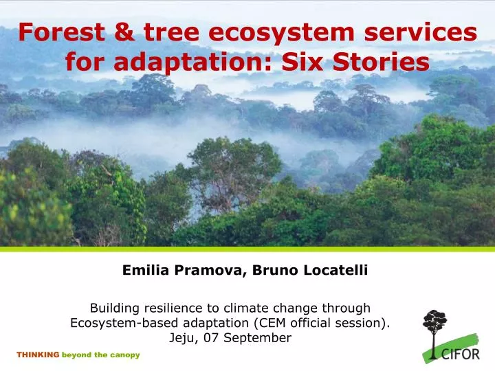 forest tree ecosystem services for adaptation six stories