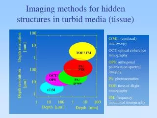 Imaging methods for hidden structures in turbid media (tissue)