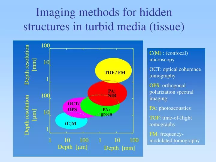 imaging methods for hidden structures in turbid media tissue
