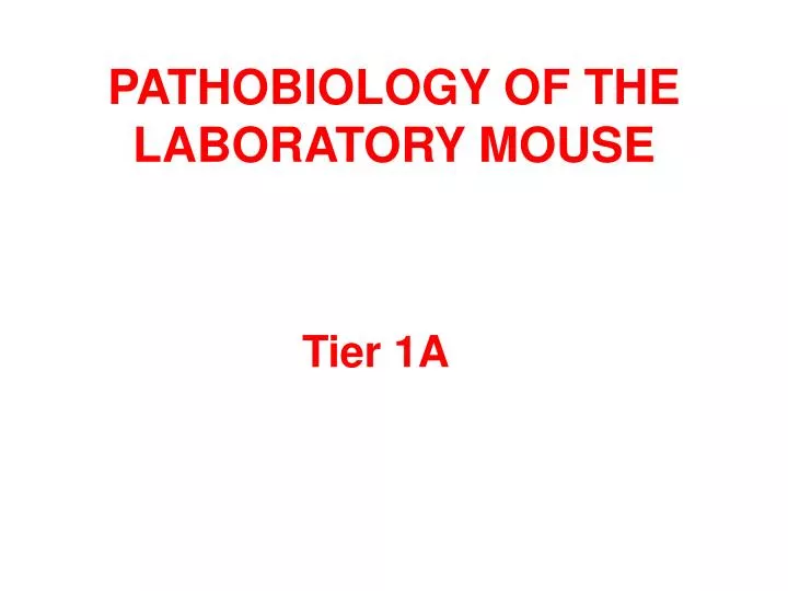 pathobiology of the laboratory mouse