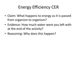 Energy Efficiency CER