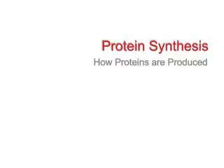 Protein Synthesis