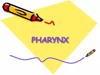 pharynx