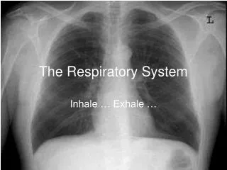 The Respiratory System