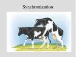 Understanding Estrous Synchronization in Cows: GnRH and PGF Applications - slide 1