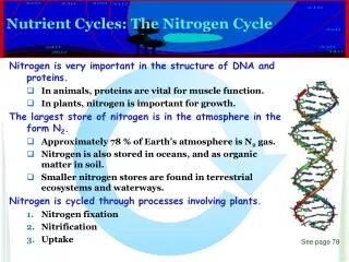 Nutrient Cycles: The Nitrogen Cycle