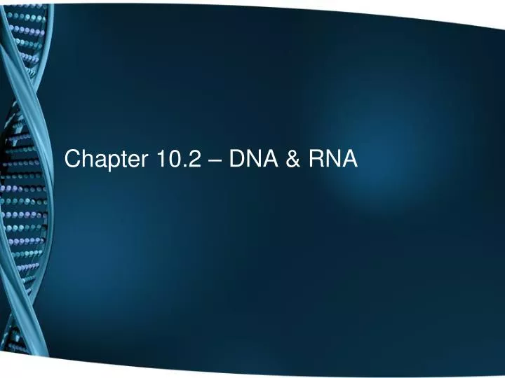chapter 10 2 dna rna